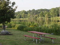 River Park summer picnic