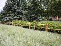 Peck Farm Park summer