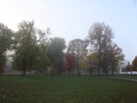 Island Park fog