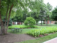 Peck Farm Park picnic area