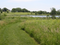 Peck Farm Park prairie path