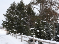 Peck Farm Park winter