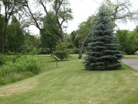 Stanley Esping Park path