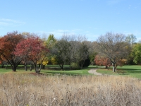 Wheeler Park fall prairie