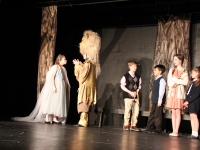 The Lion, the Witch, and the Wardrobe 2