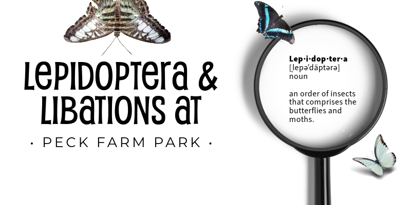Lepidoptera and Libations Webpage