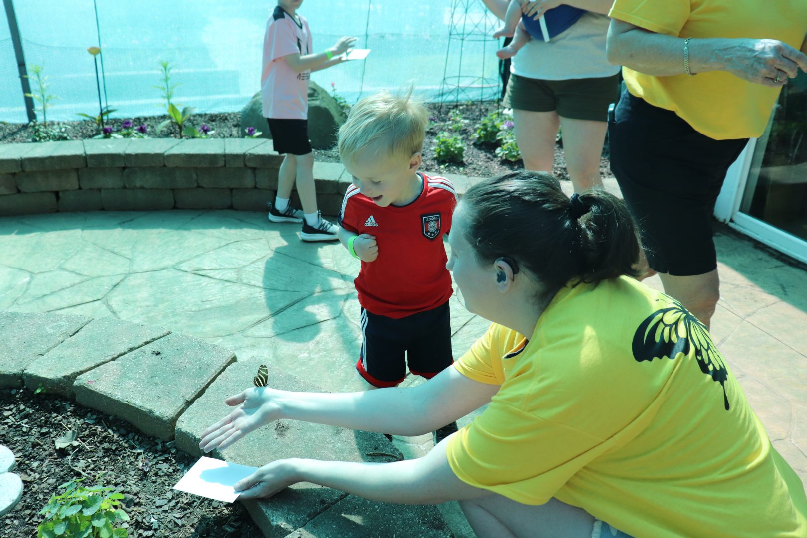 volunteer with boy releasing a butterfly